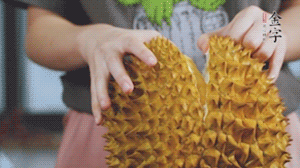 榴蓮剝好肉后，搗成泥狀。