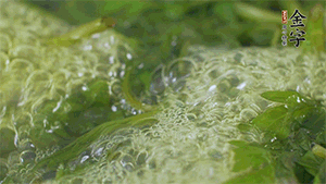 艾草葉放入煮沸的水中，加點食用堿，待變成深綠色時撈出，放入冰水中，瀝干備用。