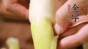 茭白剝去外殼，先切片再切絲。