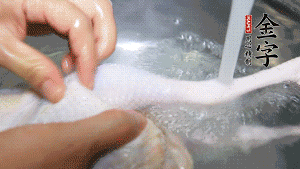 土雞處理干凈。（如果買不到土雞，一般的雞也是可以的，不過需要汆水。溫水下鍋汆燙7分鐘左右，汆燙時(shí)需要適時(shí)翻動。汆燙雞肉是為了去掉生腥味，也是一次徹底清潔的過程，可以使燉出的湯清爽而不渾濁，鮮香而無異味）