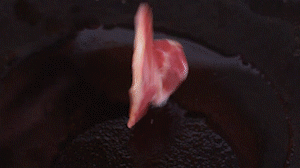 鍋中倒入橄欖油燒熱，放入淡火腿小火煸炒至打卷狀態(tài)。