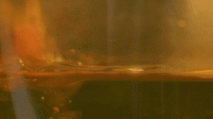 雞肉、鹽、料酒入冷水鍋水開后撇去浮沫，溫水洗凈。