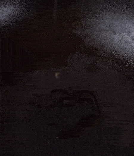 冷鍋熱油，下蒜片爆香，下香腸、玉米筍、蓮藕、西芹爆炒，期間加點水，翻炒1分鐘后加新鮮百合片，翻炒30秒。