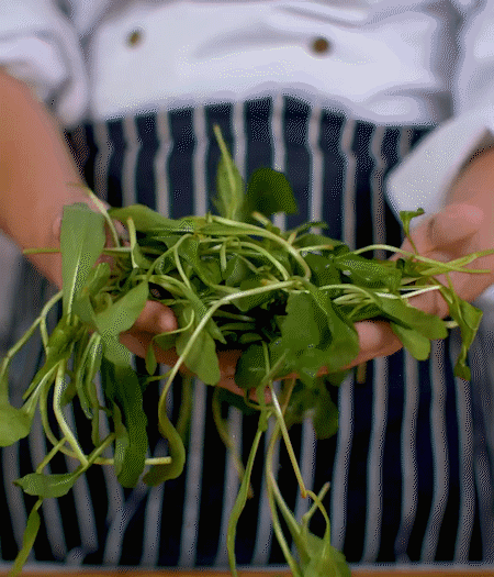 馬蘭頭焯水，切成細(xì)末。